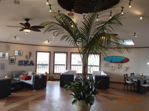 特大サイズ ケンチャヤシ 湖西観葉 