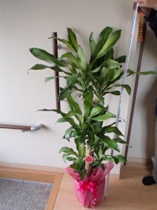 PC050004